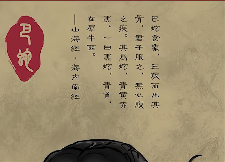 地球上的巨蟒,世界上的巨型蟒蛇到底有多大