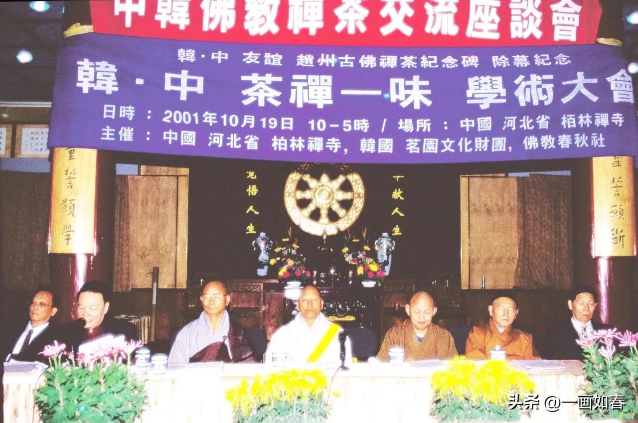 舒曼|无尽禅茶意,拈花一笑中