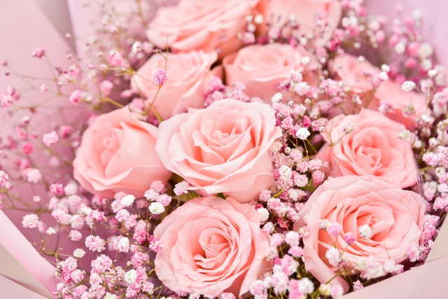 情人节送什么花给情人,情人节送老婆什么花好