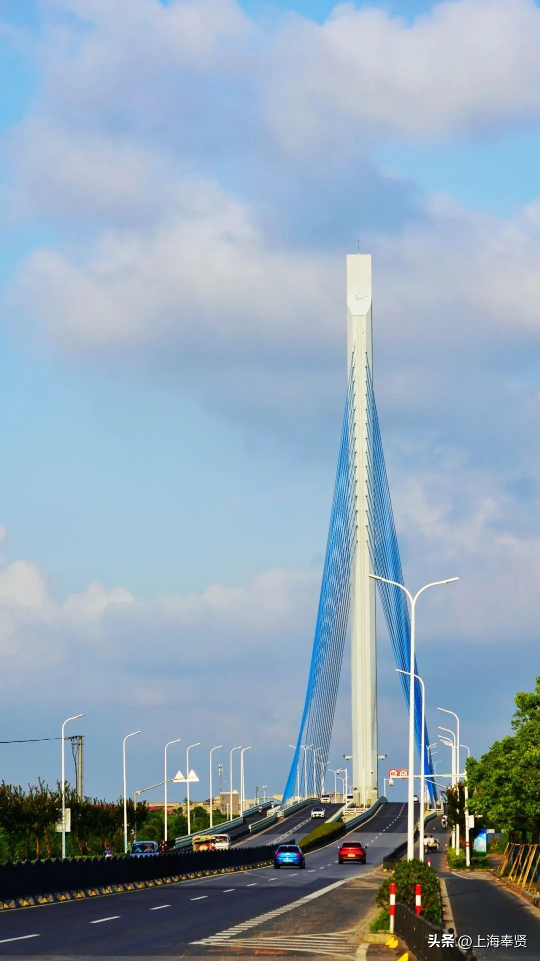 九月的第一天阳光灿烂,九月的第一天有点甜