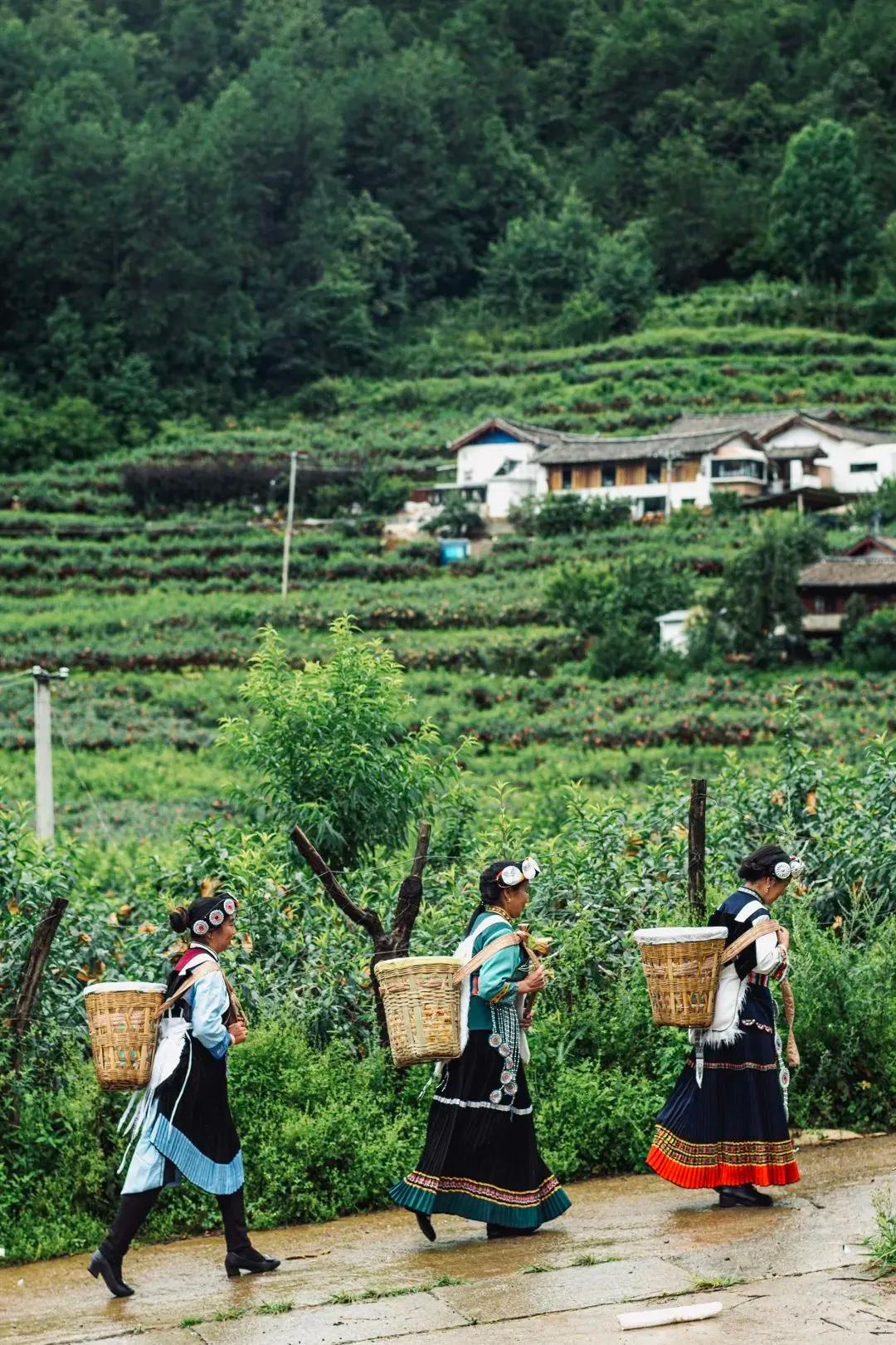 享受秀色丽江,推荐美照高级感