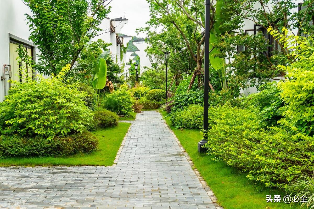 园林景观植物的种类和特点,园林绿化植物常识