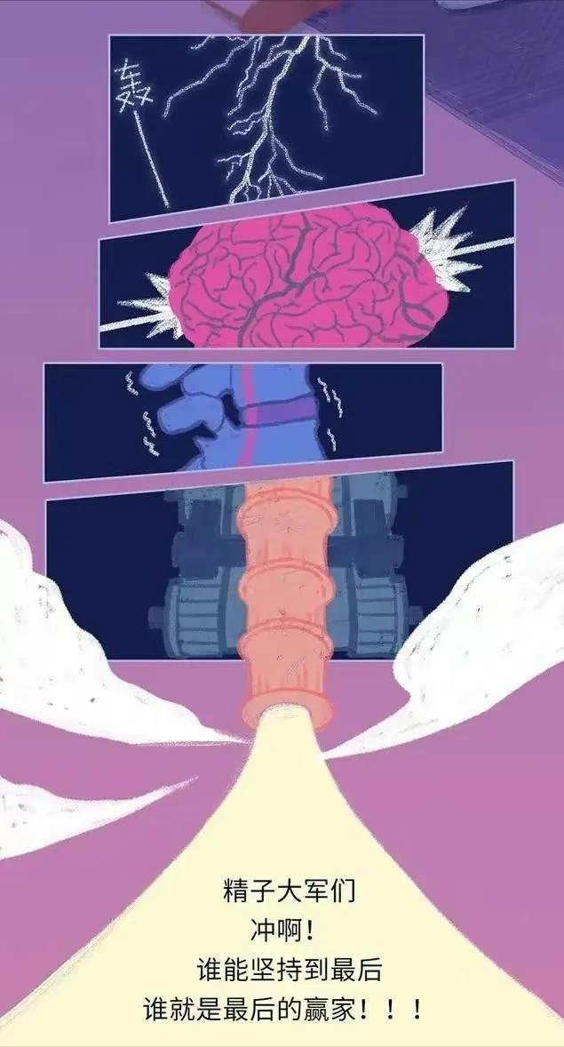 精子进入女性体内，会发生什么？有些刺激（漫画）