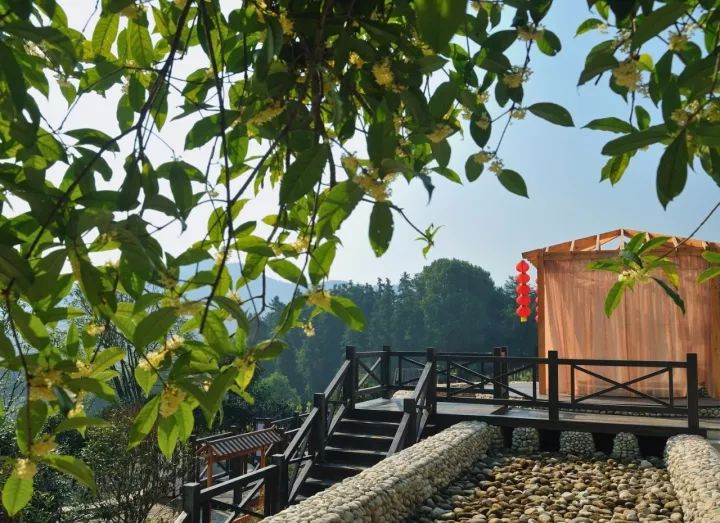 武汉周围的旅游城市温泉,武汉附近温泉度假村排名