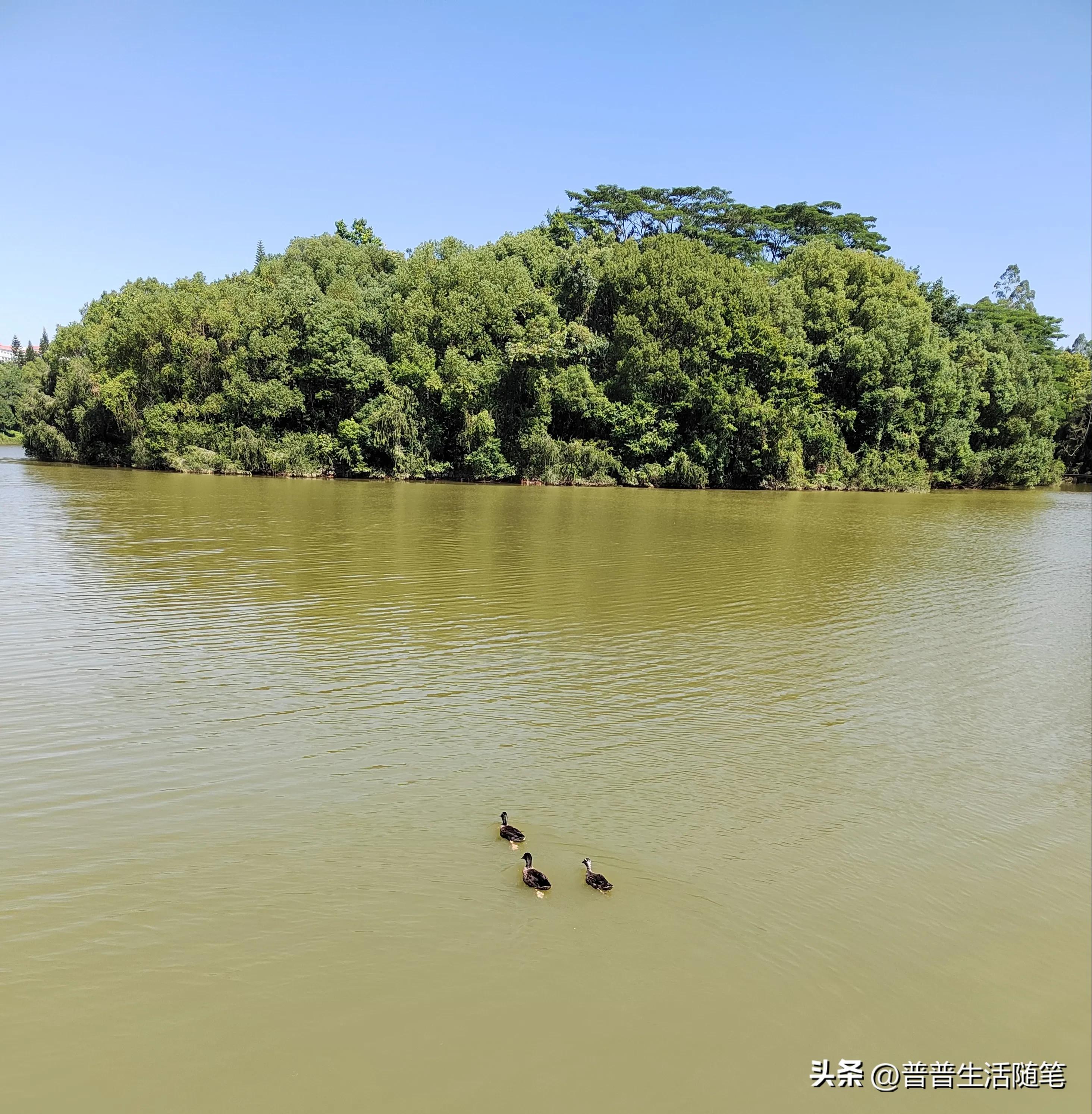 搬家公司同城搬家,搬家公司哪个平台靠谱便宜