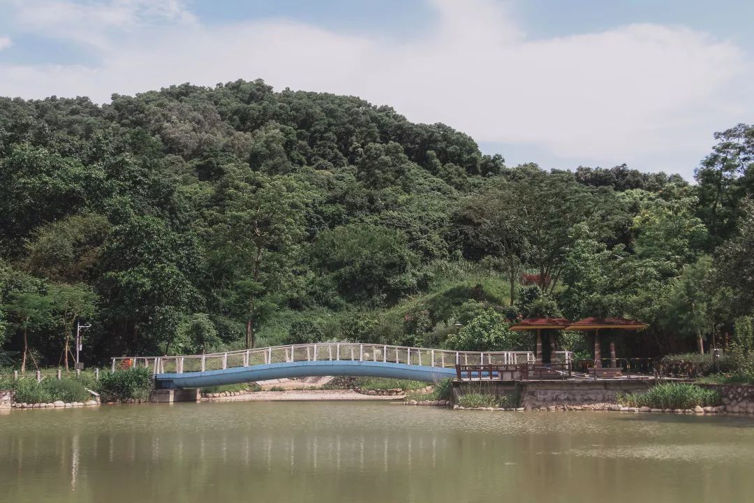 深圳10条入门登山线路推荐,深圳十大山峰最新登山攻略