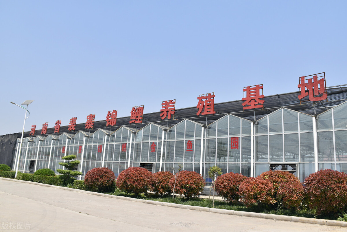 如何做农村电商创业项目,在农村怎么做本地电商