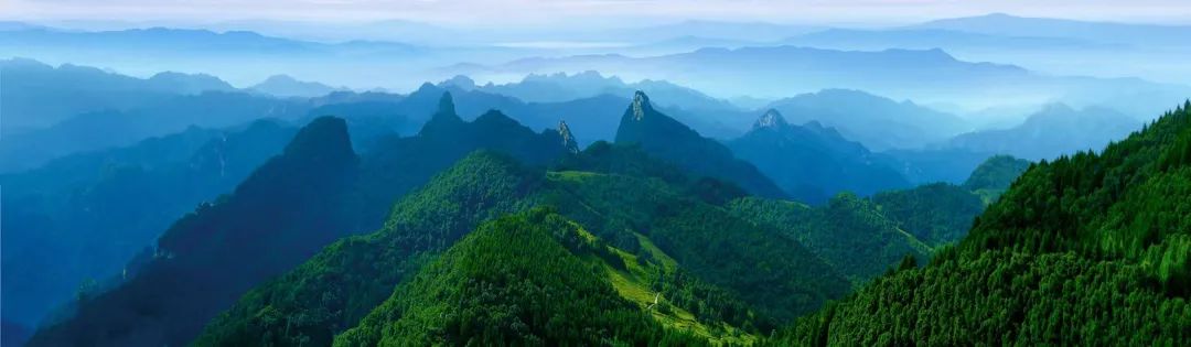 享受阳光享受大自然天然氧吧,值得一去的天然森林氧吧