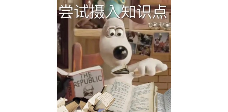 糖是砂糖吗,糖是sugar还是sugar