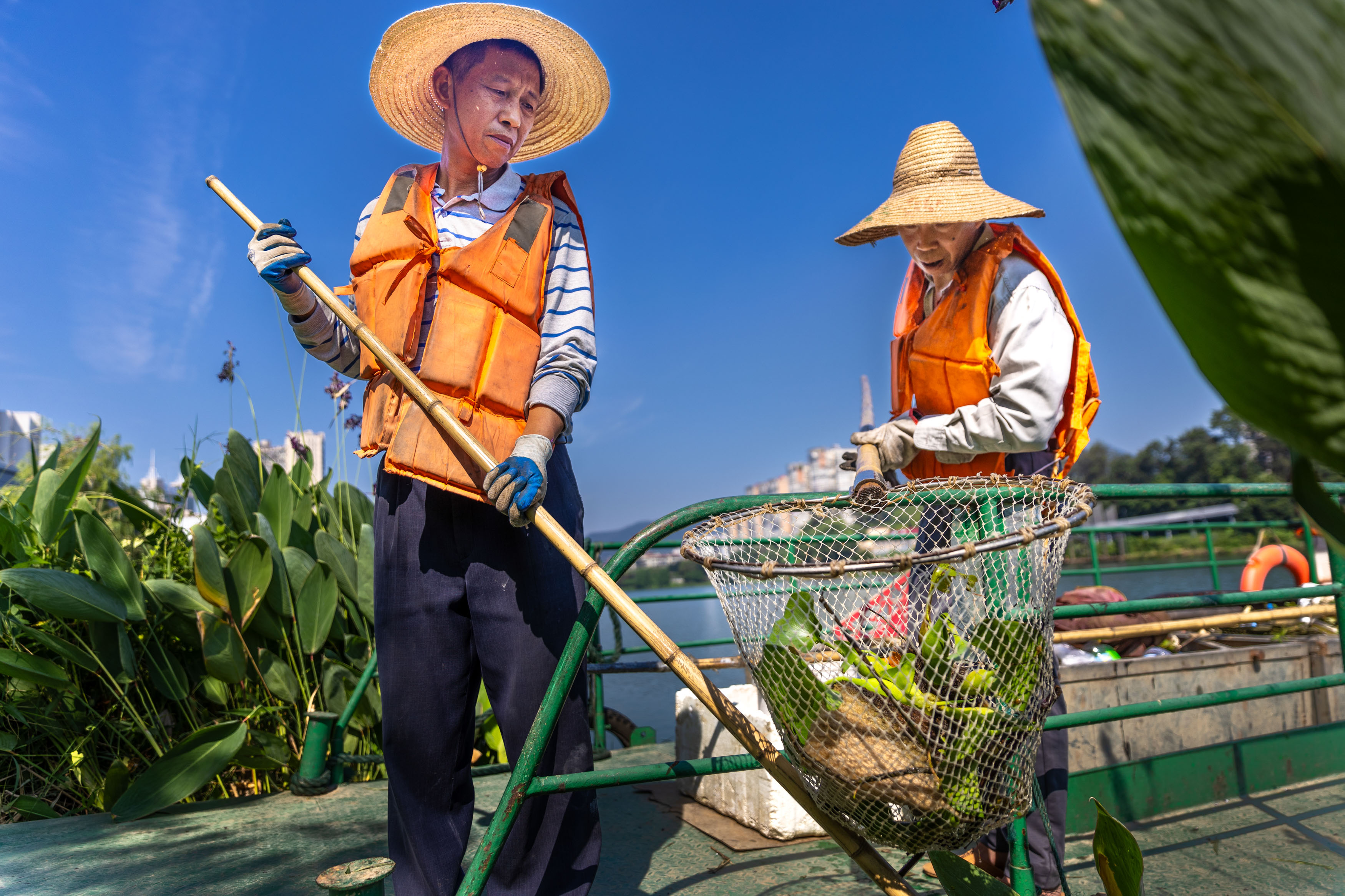 三元：烈日下的沙溪河“清道夫”汗水浸透衣衫，守护“一汪碧水”