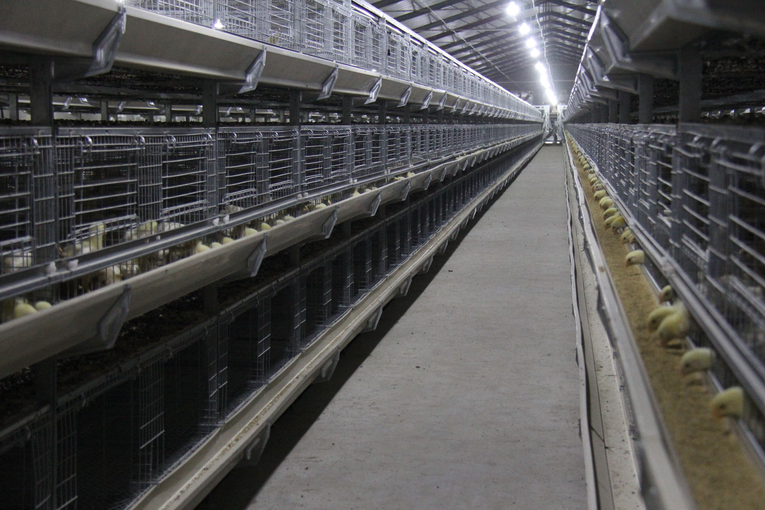 义县最新引资消息,义县招商