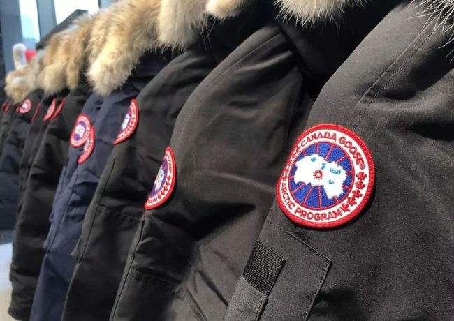 加拿大鹅主要经营什么,加拿大鹅为什么销量提高了