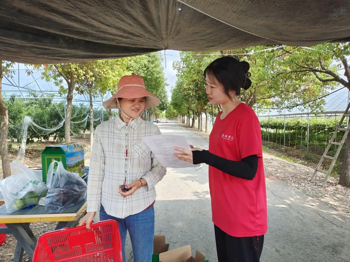 三下乡研学感悟,三下乡老师下乡感悟