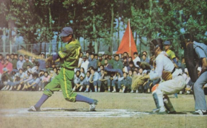 棒球比赛终止,2019棒球世界杯