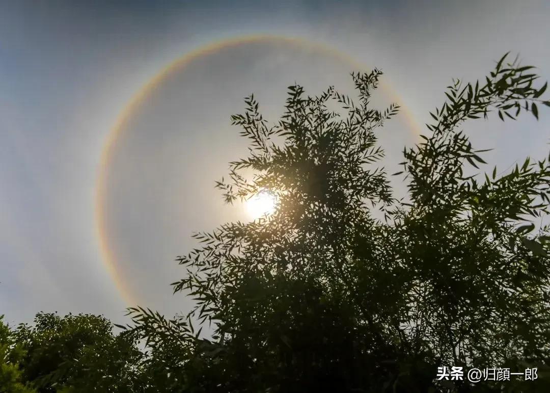 八个特级竞钓大师的技术特点,特级竞钓大师有什么用