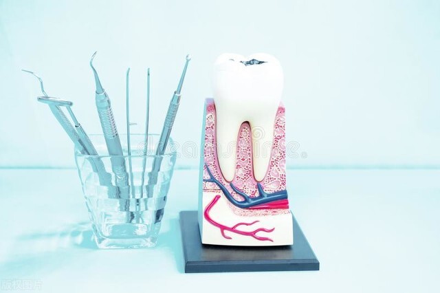 人脱落乳牙牙髓干细胞治疗非口腔疾病的研究进展