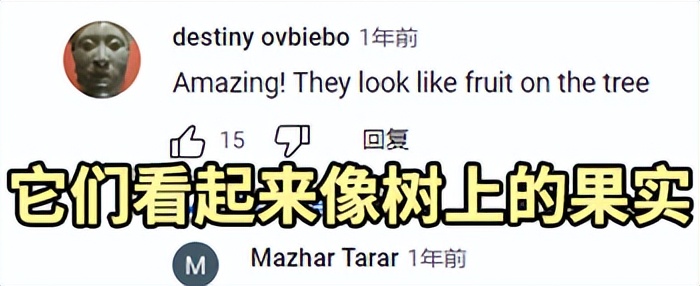 摩洛哥踢球干净吗,摩洛哥的羊为什么上树