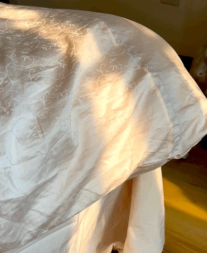 这女人一露脸,我就想为她花钱…