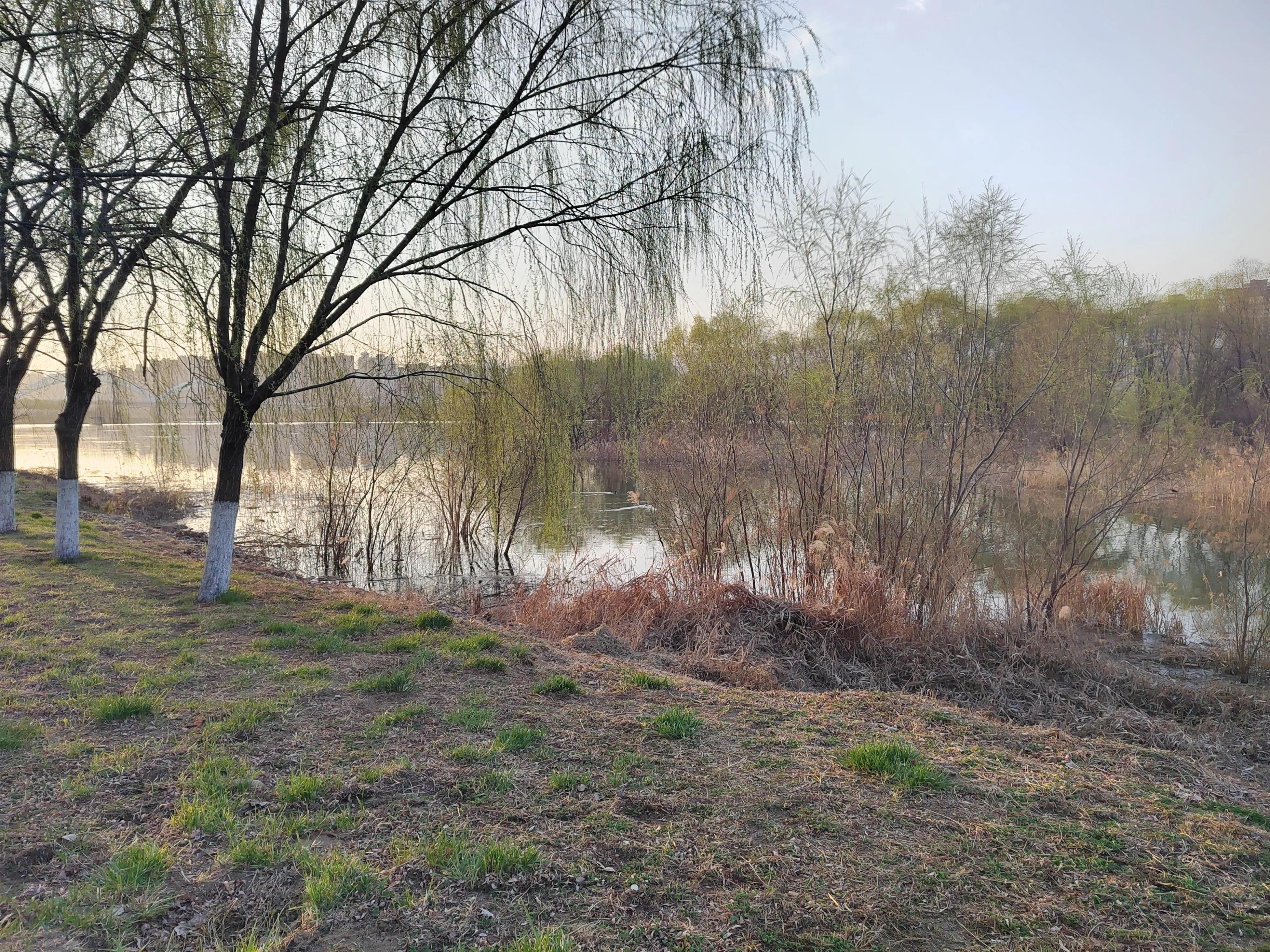 春天来了，美景再现，该踏青和锻炼身体了，为足球比赛储备体力。