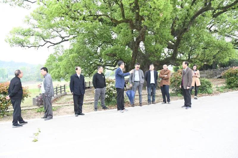 鐏垫鼎榛勬,鐏垫鼎榛勬鍗＄墝