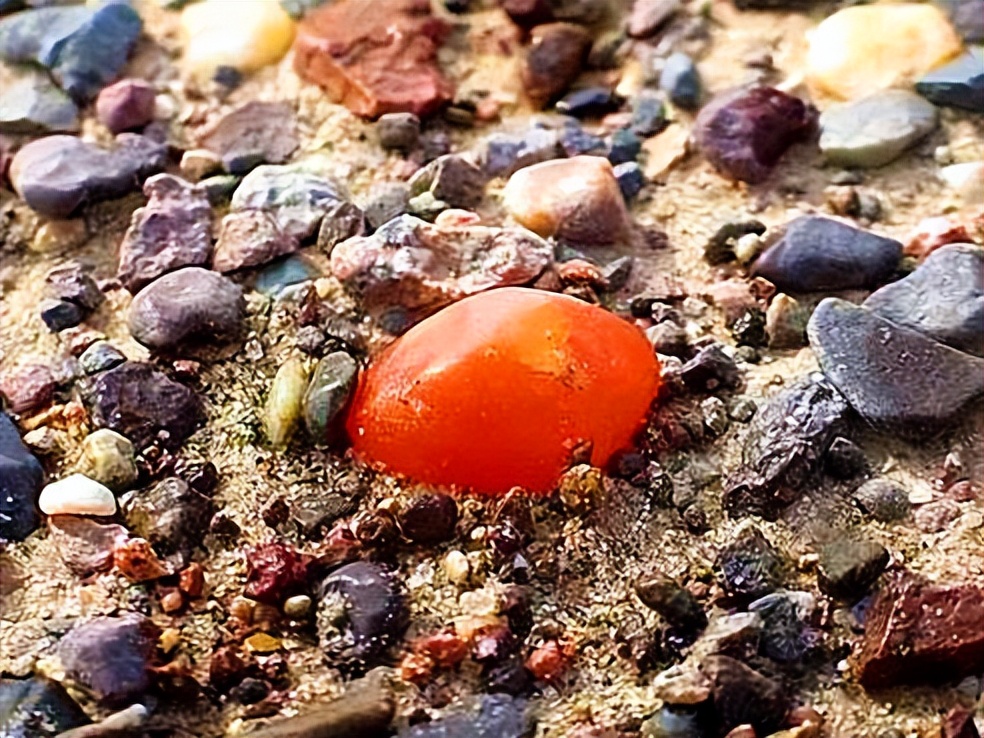 *疆新**十日6：与魔共舞，携鬼同歌