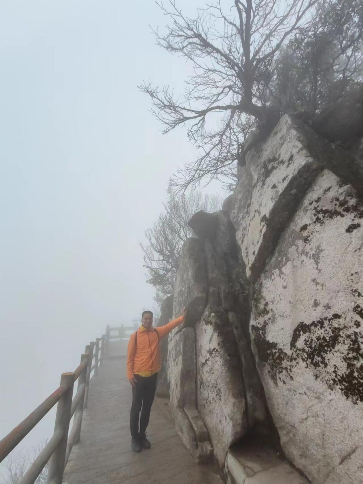 尧山大佛简介,尧山大佛景区