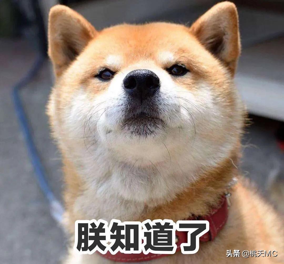 男人一辈子不结婚的生活,男人一辈子不恋爱会怎么样