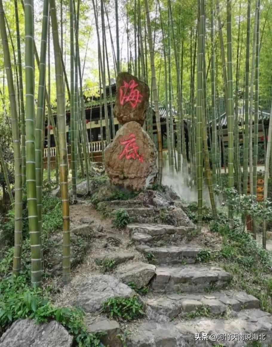 森林氧吧宜兴竹海,宜兴竹海森林氧吧