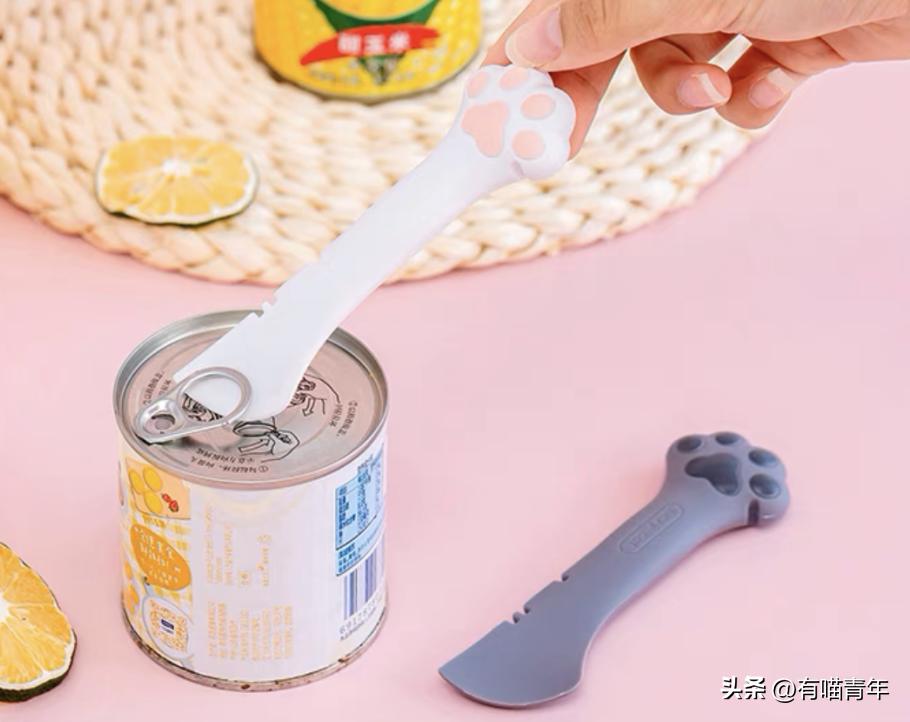 16个变态又实用的养猫妙招必看,养猫必看的100个技巧