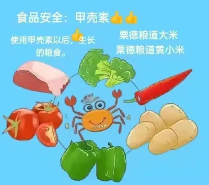 生态种植绿色食品安全放心,绿色农产品与食品安全技术