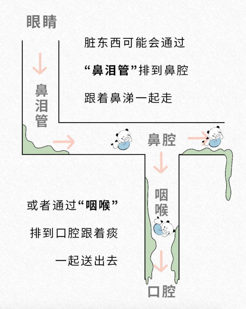 眼睛模糊揉揉就好了是怎么回事,眼睛里进了脏东西揉没有了去哪了