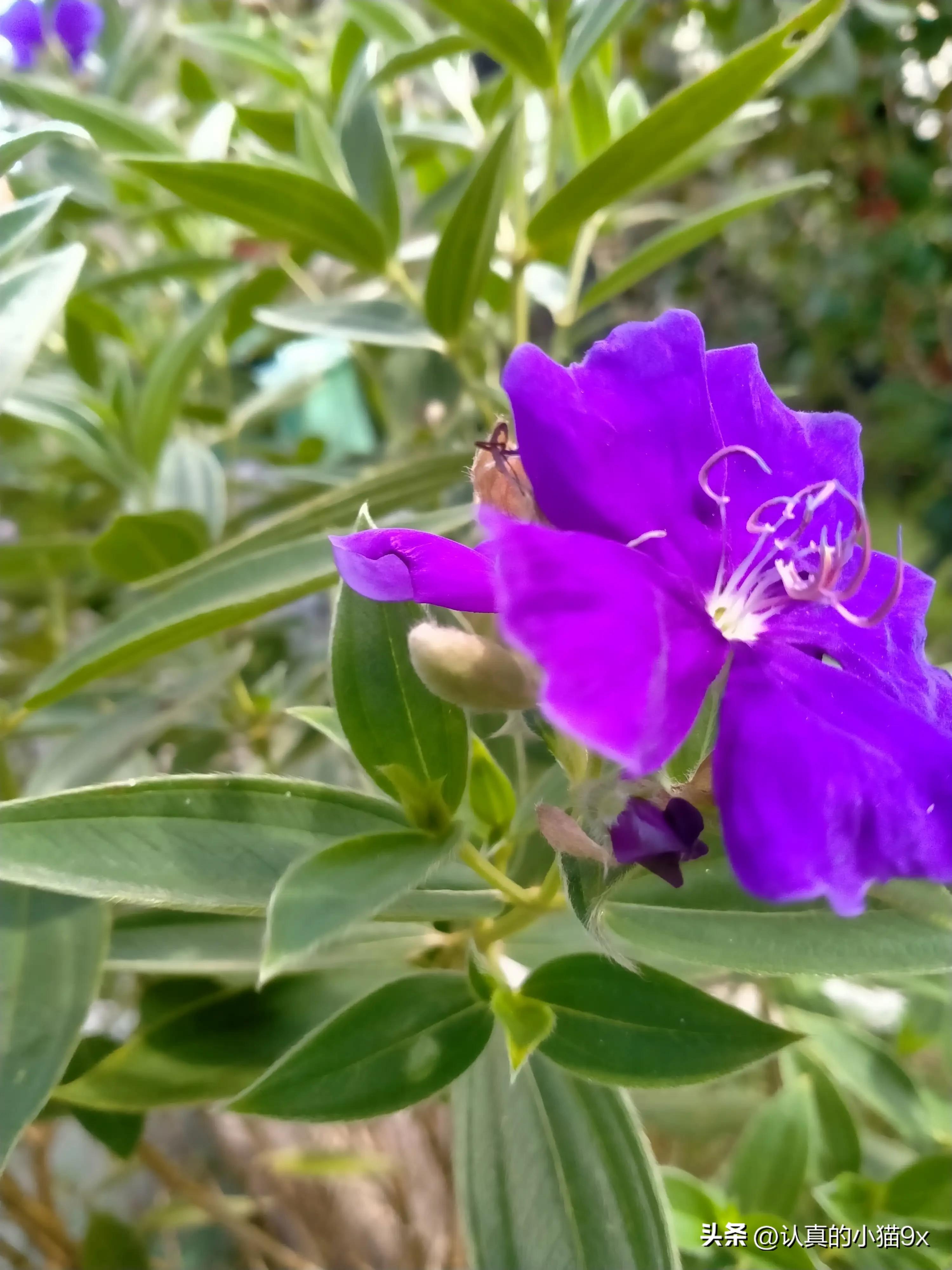 女儿14岁不想读书了怎么办,女儿读书读傻了咋办