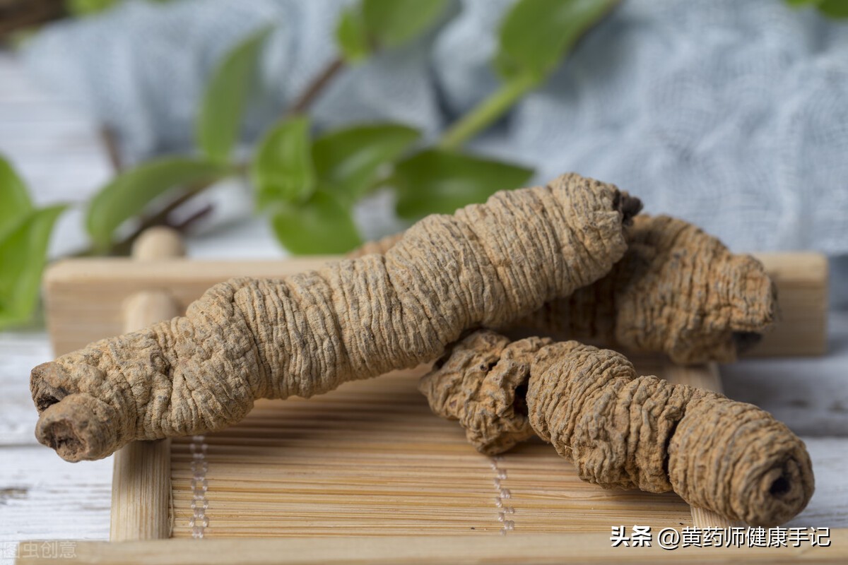 鹿茸怎样吃补肾最好,补肾吃鹿茸是否好