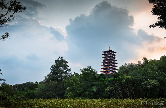 南京两日游攻略门票预约,南京两日游攻略带孩子最佳路线