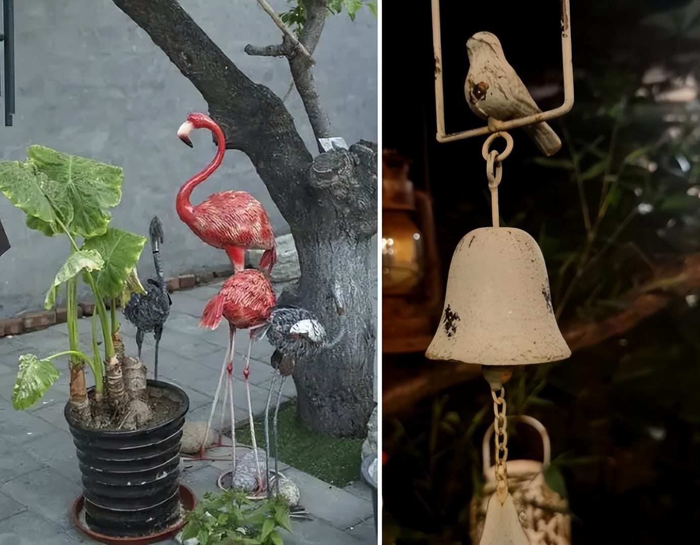 张颂文田园生活,张颂文住的院子什么样子的