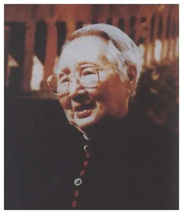 1997年重庆老妇访问朝鲜，祭拜金日成后，提出了一个大胆的建议