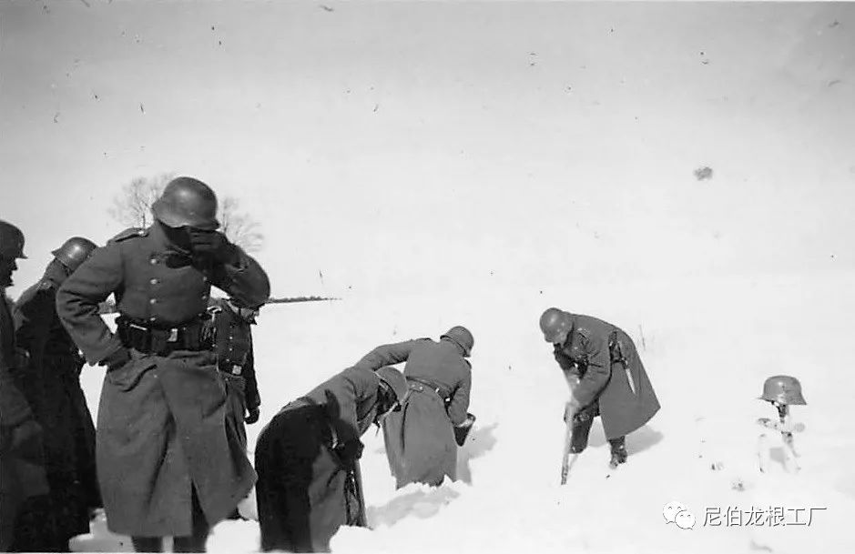 好收吾骨瘴江边的下一句,好收吾骨瘴江边