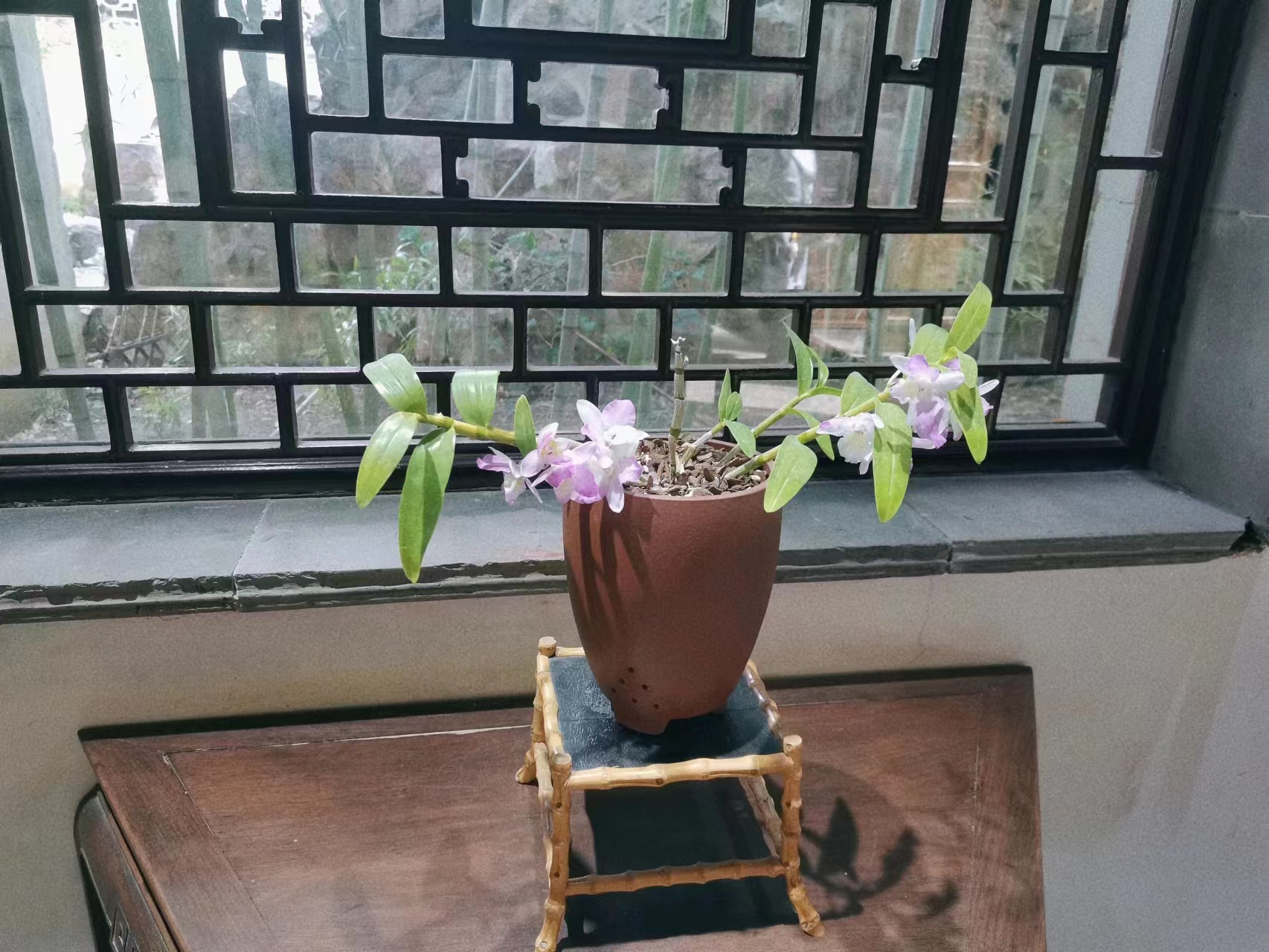 苏州江南水乡一日游攻略,苏州一日游攻略安排