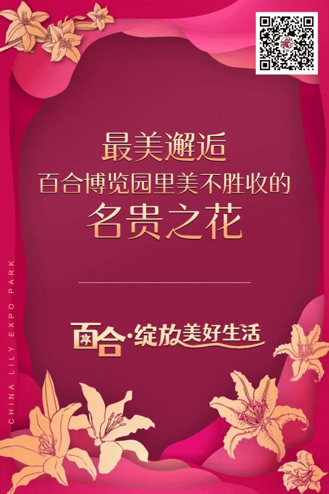 最美邂逅：百合博览园里美不胜收的名贵之花