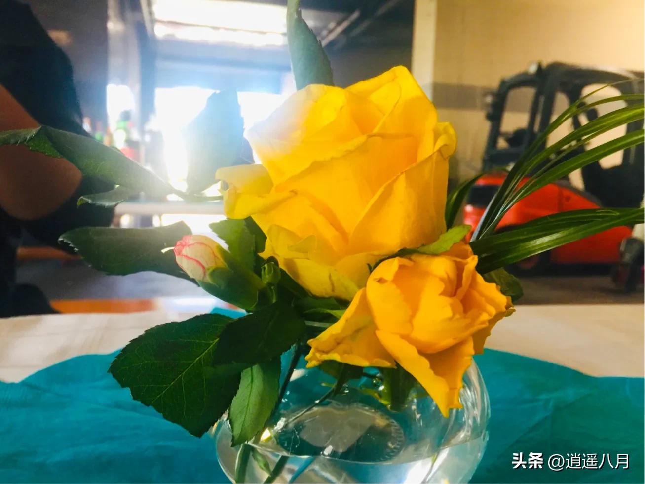 记录在德国的日子,德国周末狂欢