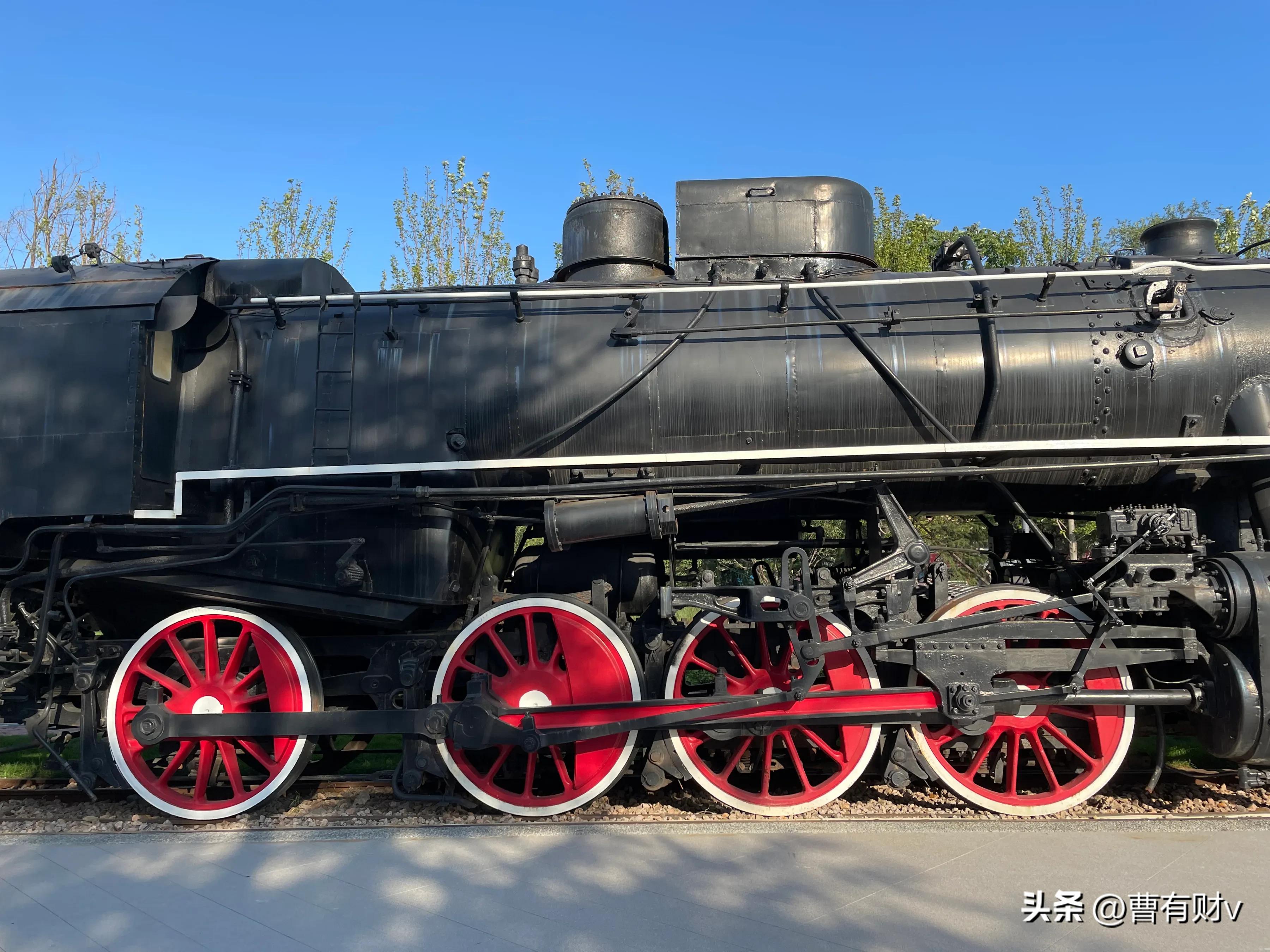 青岛中山公园网红打卡点,青岛亲子游攻略网红打卡地