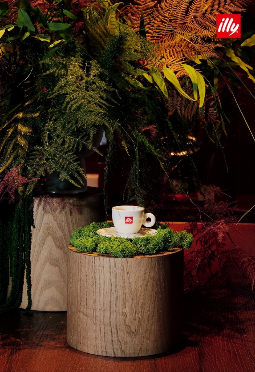 ILLY鎰忓埄鍜栧暋灞曞巺,illy鎰忓埄鍜栧暋