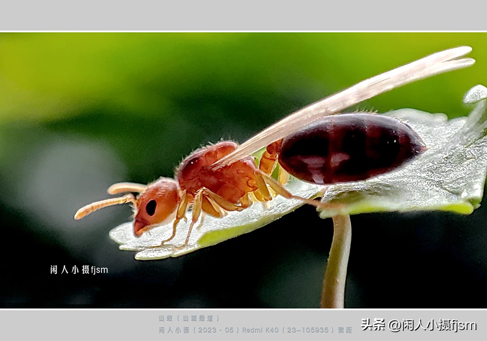 手机摄影构图技巧全解,玩转手机摄影一学就会的构图技巧