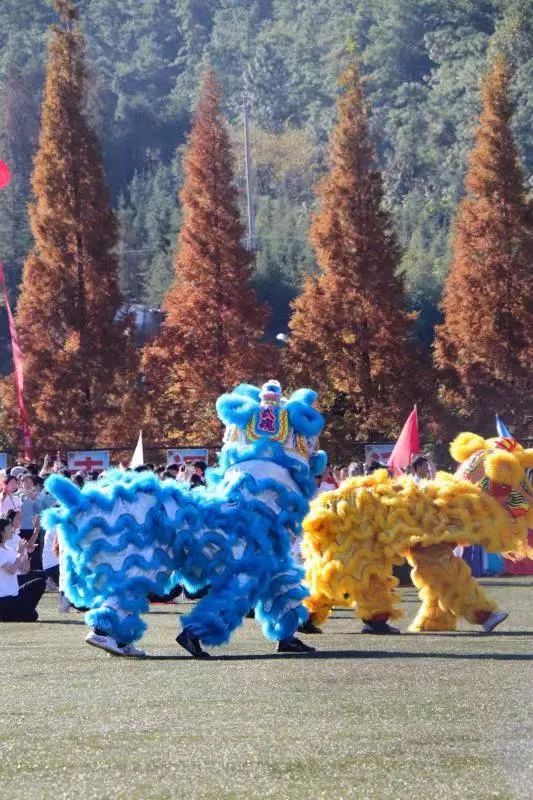 青春主题体育节开幕式,云南大学体育文化节开幕式