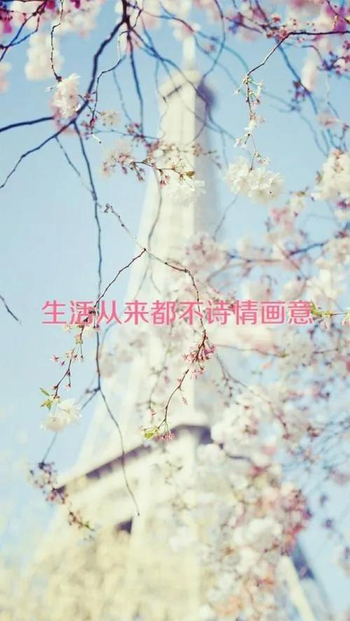 我都已经道歉了你还想怎么样,都道歉了你还要我怎样