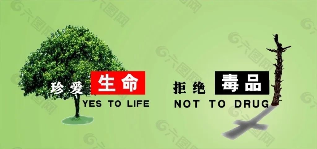 湖南邵阳毒品走私案,邵阳县破获一起毒品案