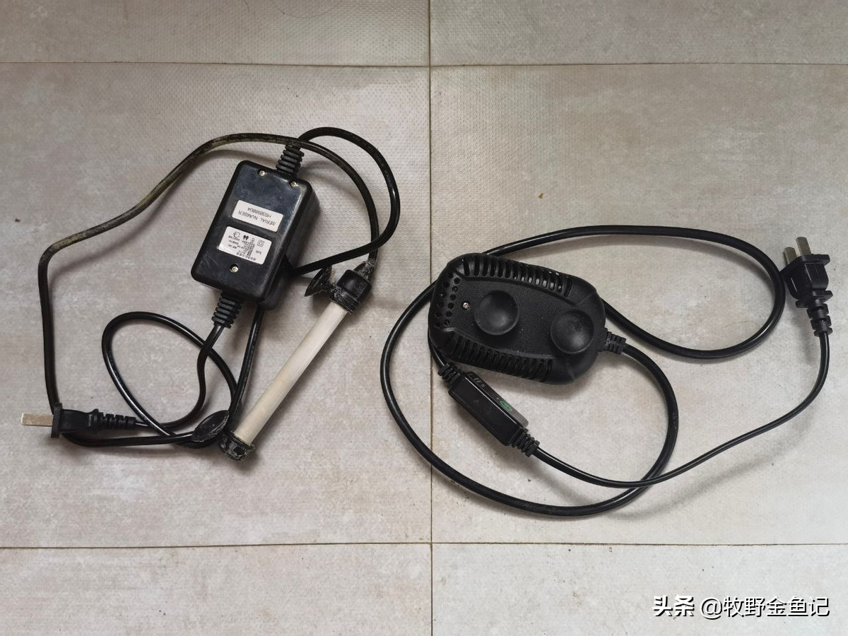 养金鱼冬天需要加热棒吗,家养金鱼冬天需要加热棒吗