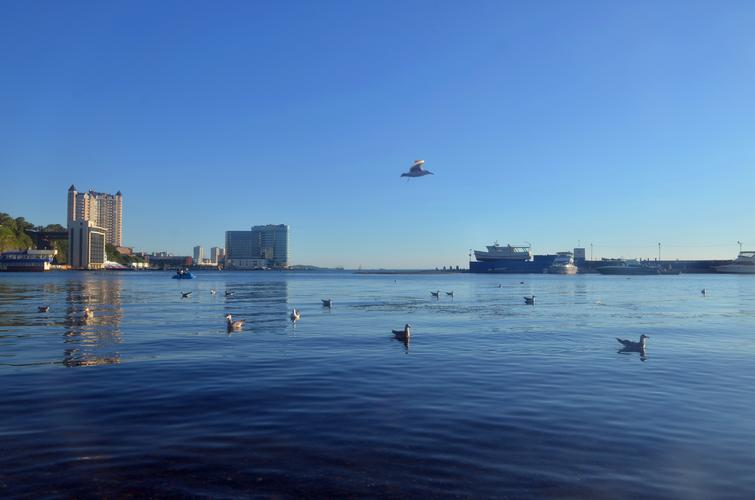 海参崴旅游团开放时间,海参崴跟团游都包含什么