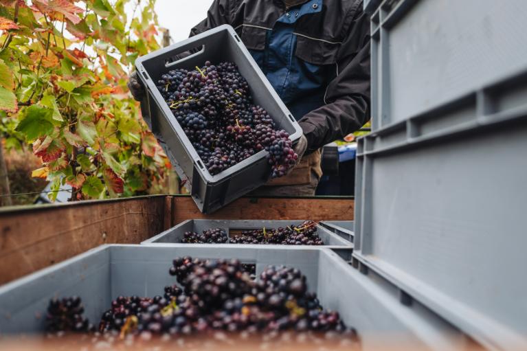 卢森堡有什么重大的节日吗,卢森堡一年四季