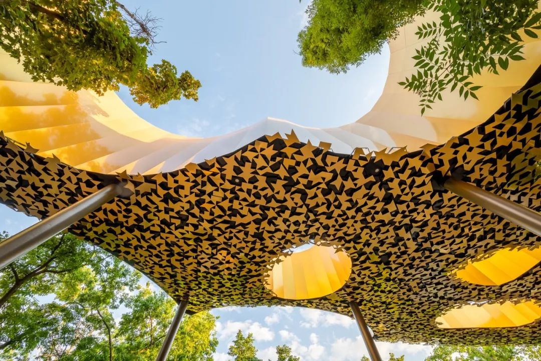 与藤本壮介一起走进金色叶子‘殿堂’，匈牙利音乐之家